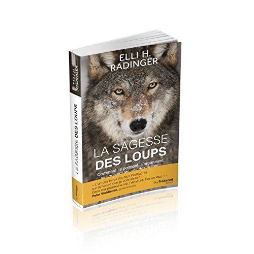 Emprunter La sagesse des loups. Comment ils pensent, s'organisent, se soucient les uns des autres... livre