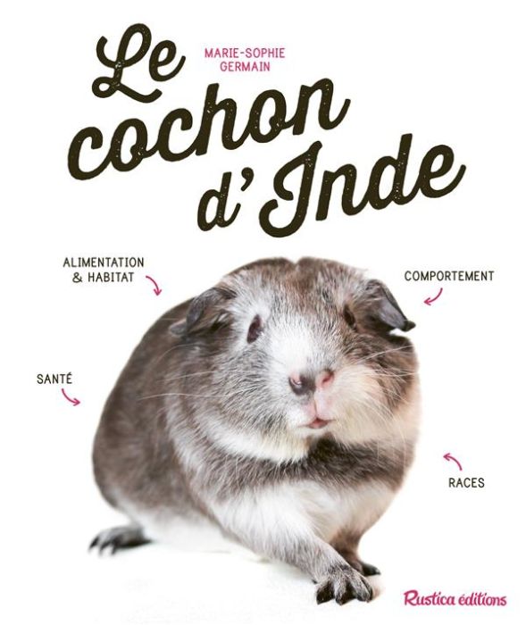 Emprunter Le cochon d'Inde livre