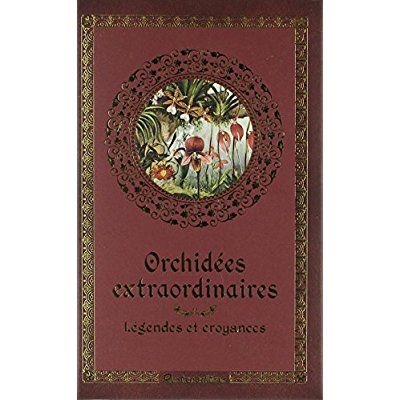 Emprunter Orchidées extraordinaires. Légendes et croyances livre