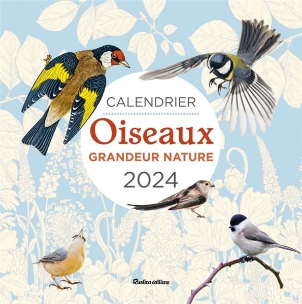 Emprunter Calendrier Oiseaux grandeur nature. Edition 2024 livre