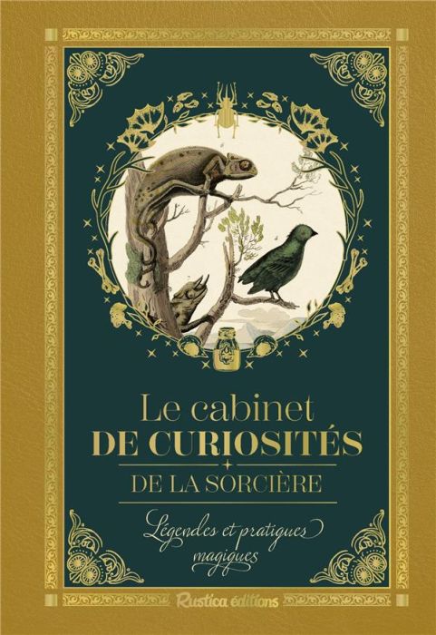 Emprunter Petit précieux Cabinet de curiosités de la sorcière. Légendes et pratiques magiques. Légendes et pra livre