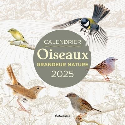 Emprunter Calendrier oiseaux grandeur nature. Edition 2025 livre