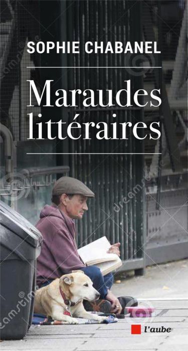 Emprunter Maraudes littéraires livre