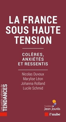 Emprunter La France sous haute tension. Colères, anxiétés et ressentis livre