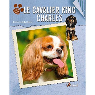 Emprunter Le cavalier King Charles livre