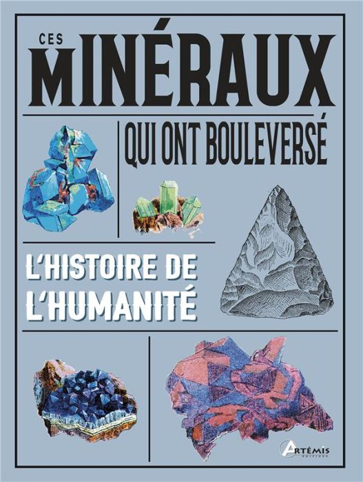 Emprunter Ces minéraux qui ont bouleversé l'histoire de l'humanité livre