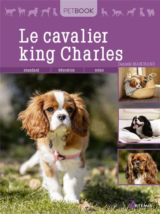 Emprunter Le cavalier king Charles livre