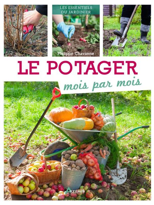 Emprunter Le potager mois par mois livre