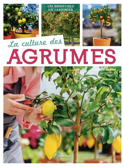 Emprunter La culture des agrumes livre