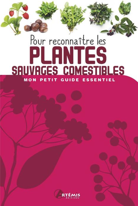 Emprunter Pour reconnaître les plantes sauvages comestibles livre