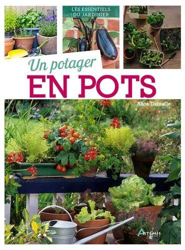 Emprunter Un potager en pots livre