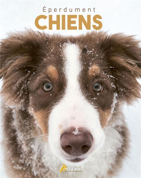 Emprunter Eperdument chiens livre