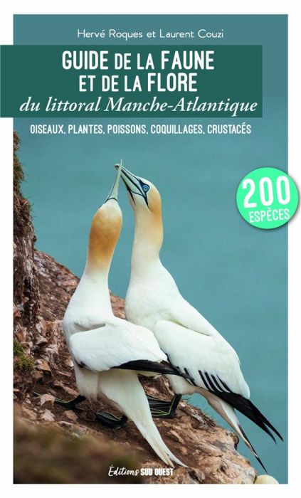 Emprunter Guide de la faune et de la flore du littoral Manche-Atlantique. Oiseaux, plantes, poissons, coquilla livre