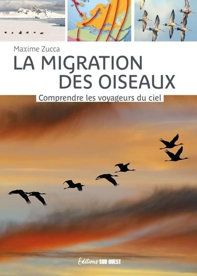 Emprunter La migration des oiseaux. Comprendre les voyageurs du ciel, 4e édition revue et augmentée livre