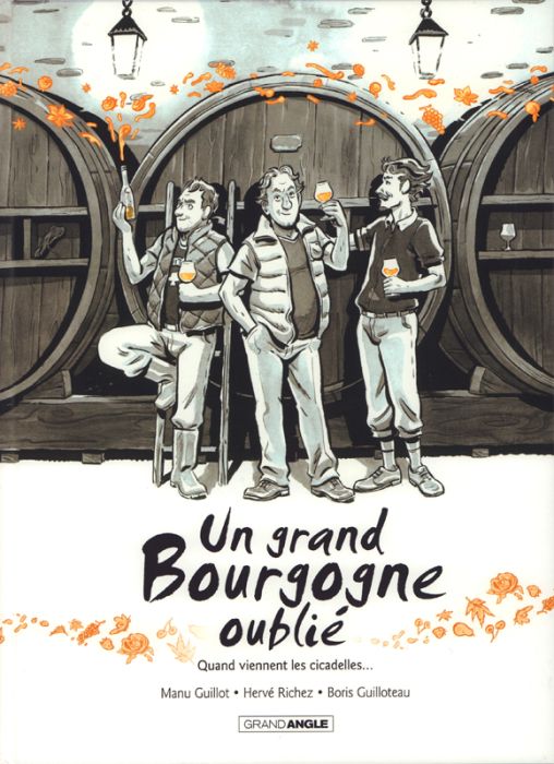 Emprunter Un grand Bourgogne oublié Tome 2 : Quand viennent les citadelles... livre