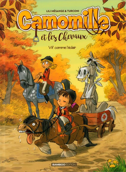 Emprunter Camomille et les Chevaux Tome 6 : Vif comme l'éclair livre