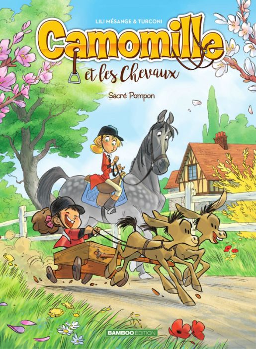 Emprunter Camomille et les Chevaux Tome 2 : Sacré Pompon livre