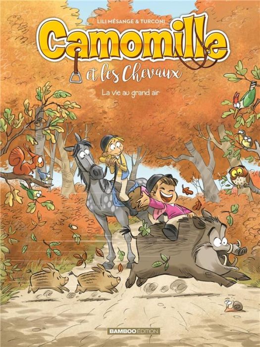 Emprunter Camomille et les Chevaux Tome 8 : La vie au grand air livre