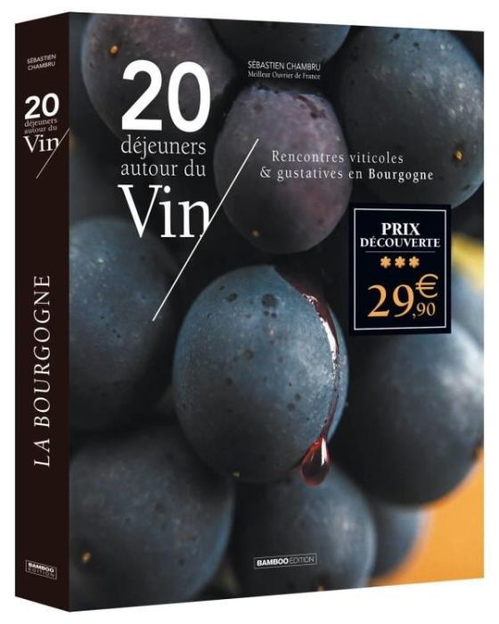 Emprunter 20 déjeuners autour du Vin livre