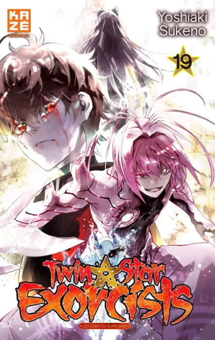 Emprunter Twin Star Exorcists Tome 19 livre