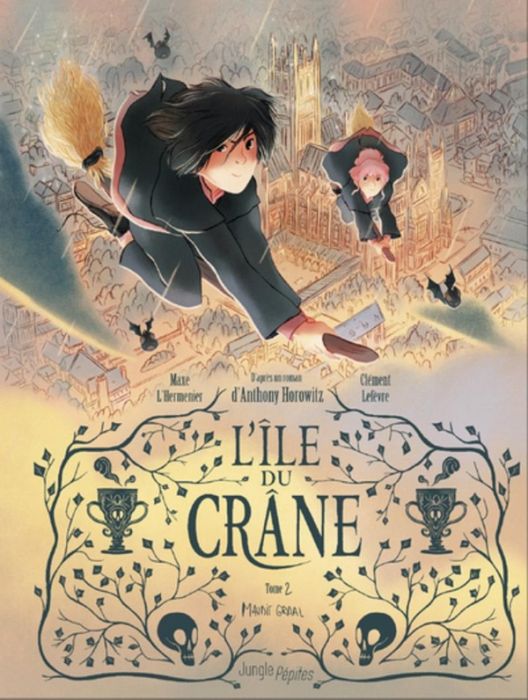 Emprunter L'île du crâne Tome 2 : Maudit Graal livre