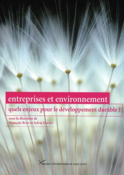 Emprunter Entreprises et environnement : quels enjeux pour le développement durable ? livre