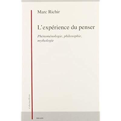 Emprunter L'expérience du penser. Phénoménologie, philosophie, mythologie livre