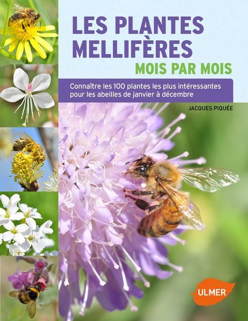 Emprunter Les plantes mellifères mois par mois. Connaître les 100 plantes les plus intéressantes pour les abei livre