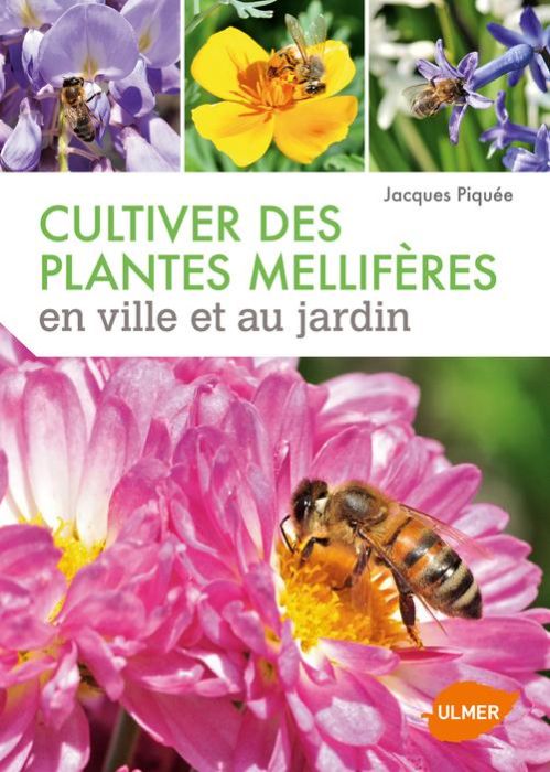 Emprunter Cultiver des plantes mellifères en ville et au jardin livre