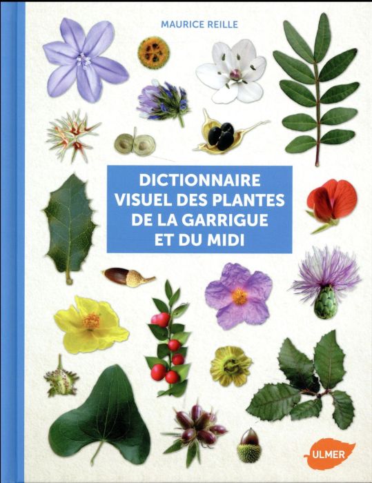 Emprunter Dictionnaire visuel des plantes de la Garrigue et du Midi livre