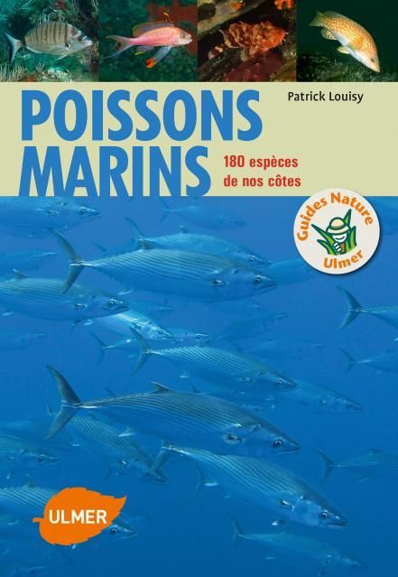 Emprunter Poissons marins. 180 espèces de nos côtes livre