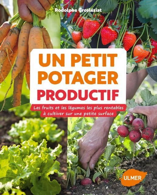 Emprunter Un petit potager productif. Les fruits et les légumes les plus rentables à cultiver sur une petite s livre