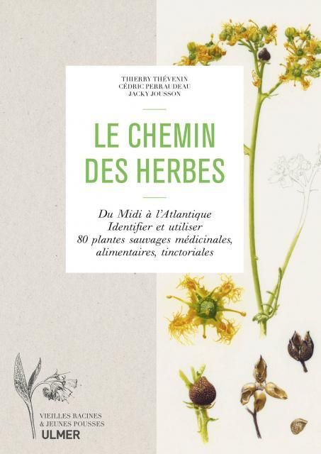 Emprunter Le chemin des herbes. Du Midi à l'Atlantique, identifier et utiliser 80 plantes sauvages médicinales livre