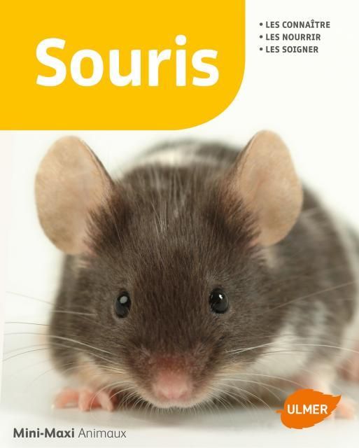 Emprunter Souris livre