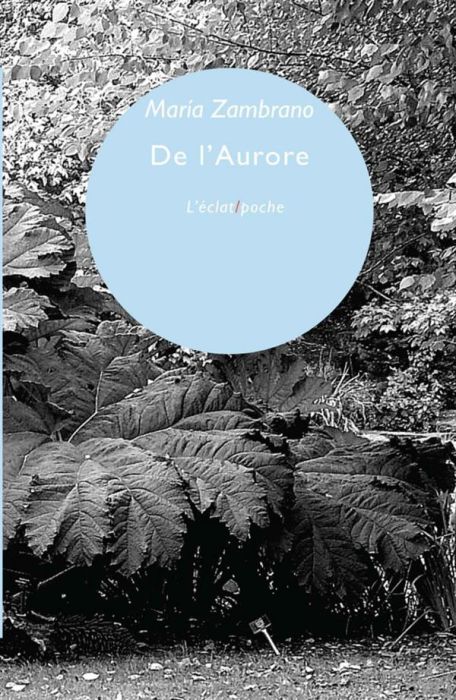 Emprunter DE L'AURORE livre