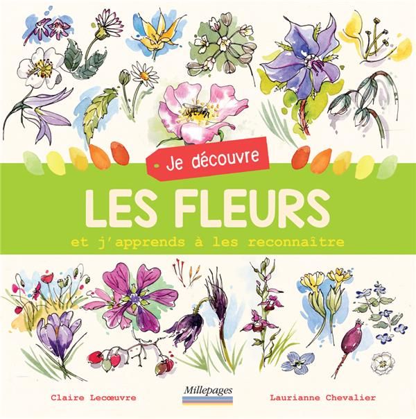 Emprunter Je découvre les fleurs et j'apprends à les reconnaître livre