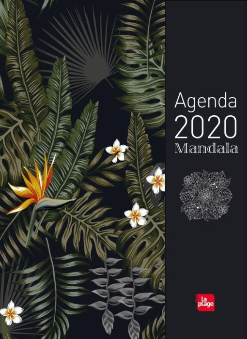 Emprunter Agenda mandala. Edition 2020 livre