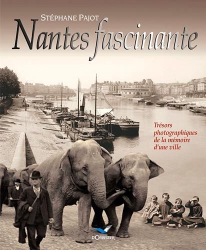 Emprunter Nantes fascinante livre