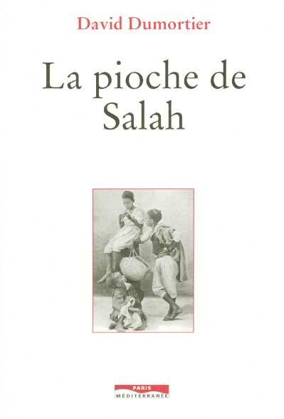 Emprunter La pioche de Salah livre