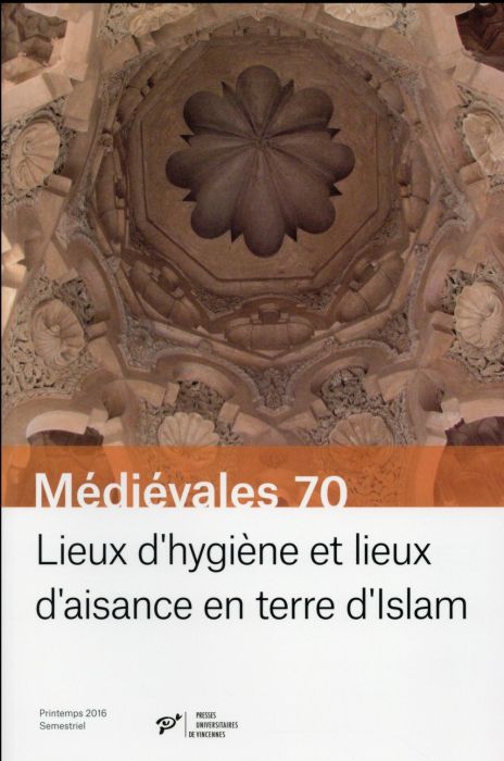 Emprunter LIEUX D'HYGIENE ET LIEUX D'AISANCE EN TERRE D'ISLAM livre