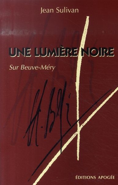 Emprunter Une lumière noire livre