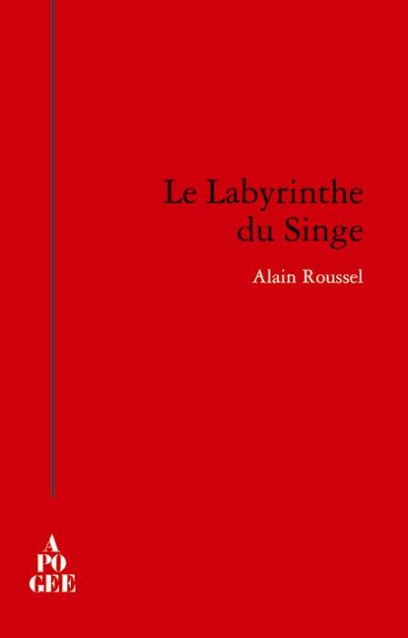 Emprunter Le labyrinthe du singe livre