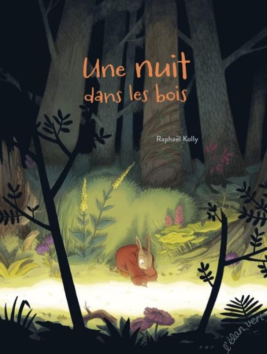 Emprunter Une nuit dans les bois livre