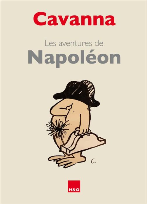 Emprunter Les aventures de Napoléon livre