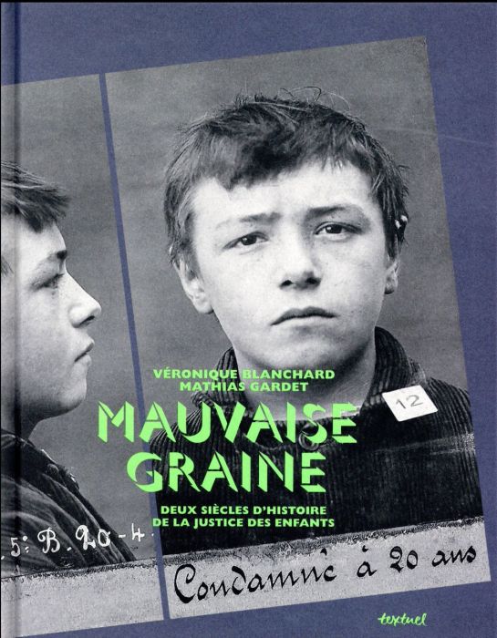 Emprunter Mauvaise graine. Deux siècles d'histoire de la justice des enfants livre