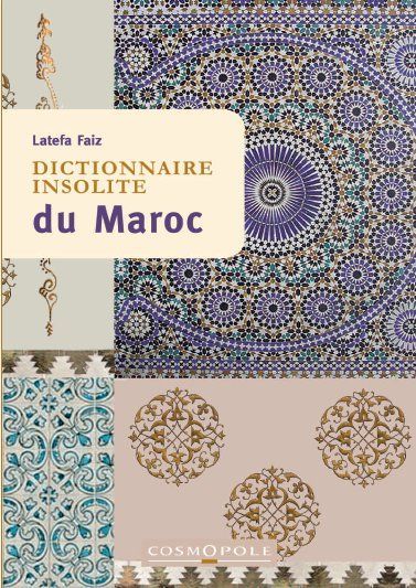 Emprunter Dictionnaire insolite du Maroc livre