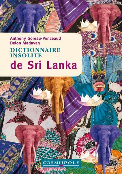 Emprunter Dictionnaire insolite de Sri Lanka livre