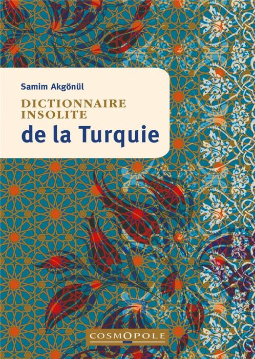 Emprunter Dictionnaire insolite de la Turquie livre