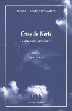 Emprunter Crise de Nerfs -Parlez-moi d'amour. Suivi  de Aegri somnia livre