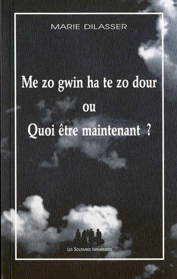 Emprunter Me zo gwin ha te zo dour ou Quoi être maintenant ? livre